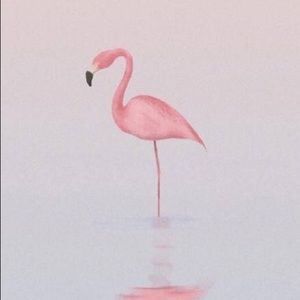 Meet your Posher, Song